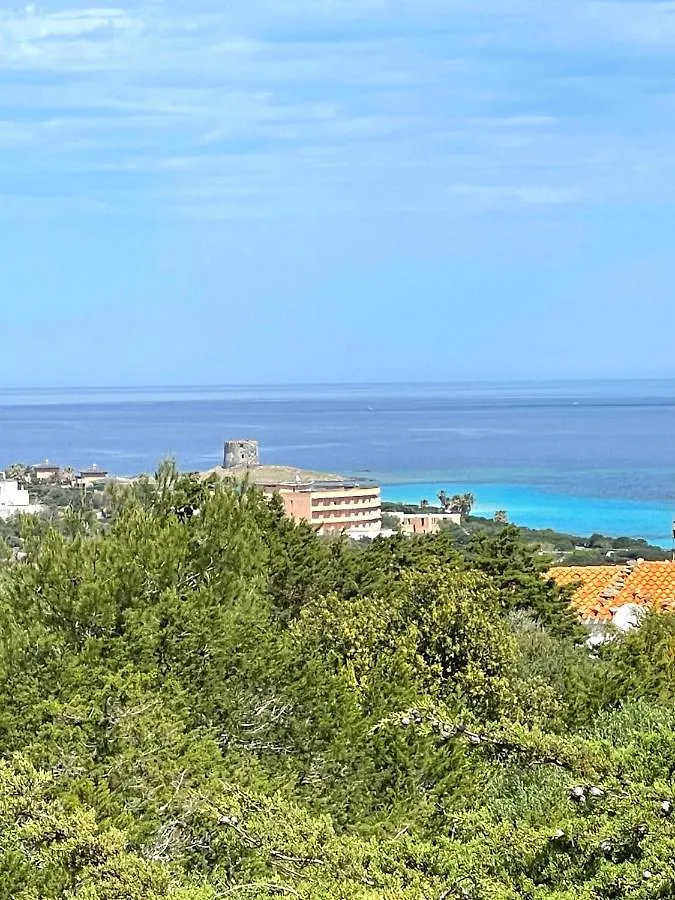 Casa Vacanze Stintino Vista Mare